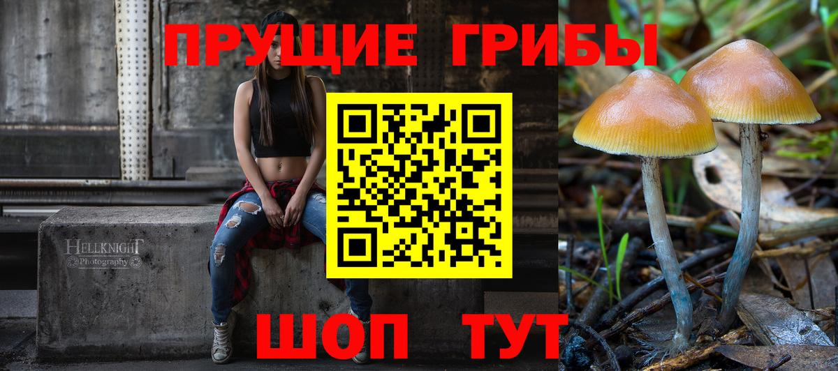 Псилоцибиновые грибы Magic Shrooms  Вход с VPN  Псилоцибиновые грибы Psilocybe  Великий Устюг 