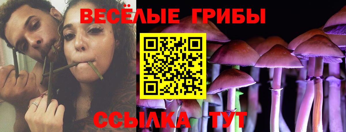 Галлюциногенные грибы Magic Shrooms Великий Устюг